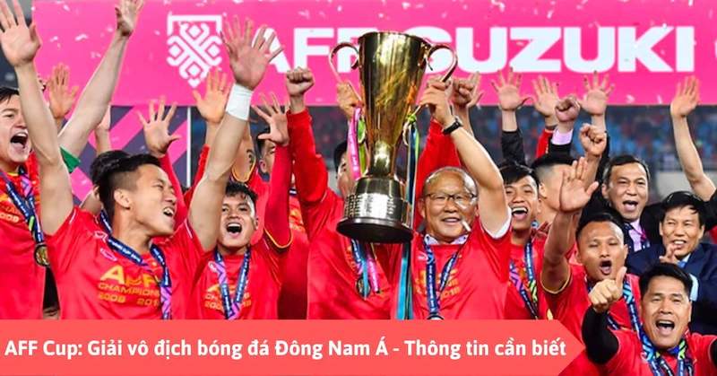 Các quy định chung về giải bóng AFF cup - Thevangtv