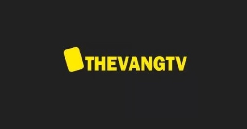 Đôi nét về thông tin tổng quan Thevangtv